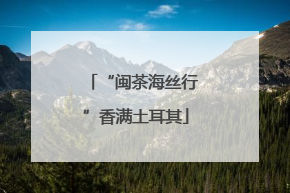 “闽茶海丝行”香满土耳其