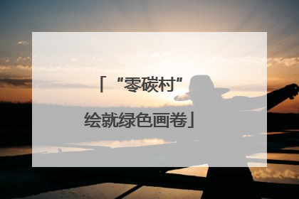“零碳村” 绘就绿色画卷