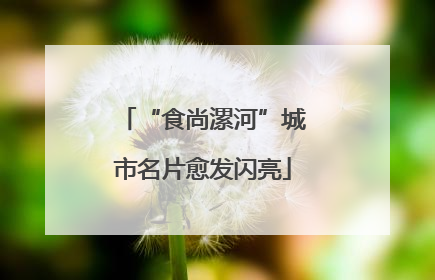 “食尚漯河”城市名片愈发闪亮
