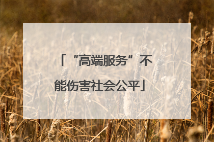 “高端服务”不能伤害社会公平