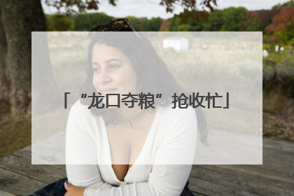 “龙口夺粮”抢收忙