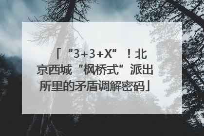“3+3+X”！北京西城“枫桥式”派出所里的矛盾调解密码