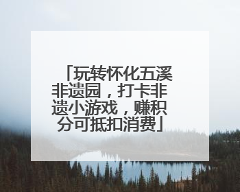 玩转怀化五溪非遗园，打卡非遗小游戏，赚积分可抵扣消费