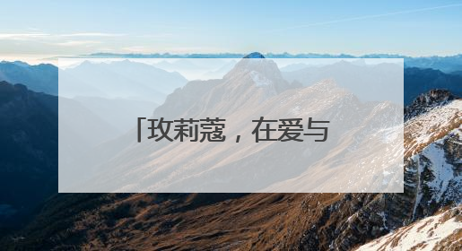 玫莉蔻，在爱与服务的旅程里，让增长更确定