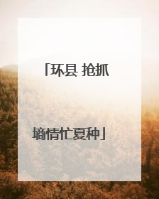 环县 抢抓墒情忙夏种