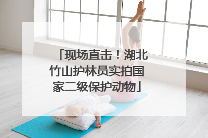 现场直击！湖北竹山护林员实拍国家二级保护动物