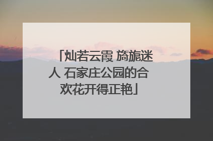 灿若云霞 旖旎迷人 石家庄公园的合欢花开得正艳