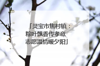 灵宝市焦村镇：粽叶飘香传孝意 志愿温情暖夕阳