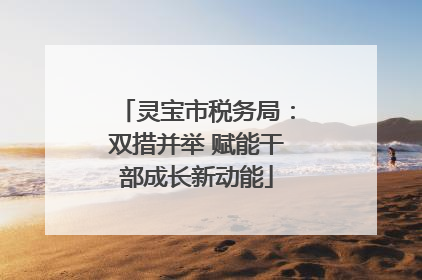 灵宝市税务局：双措并举 赋能干部成长新动能