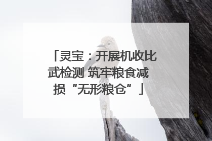 灵宝：开展机收比武检测 筑牢粮食减损“无形粮仓”