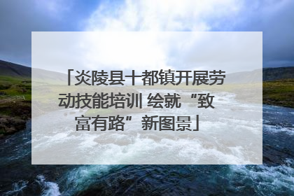 炎陵县十都镇开展劳动技能培训 绘就“致富有路”新图景