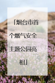 烟台市首个燃气安全主题公园亮相