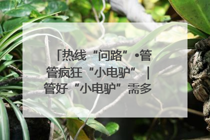 热线“问路”•管管疯狂“小电驴”｜管好“小电驴”需多部门形成合力
