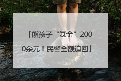 熊孩子“氪金”2000余元！民警全额追回