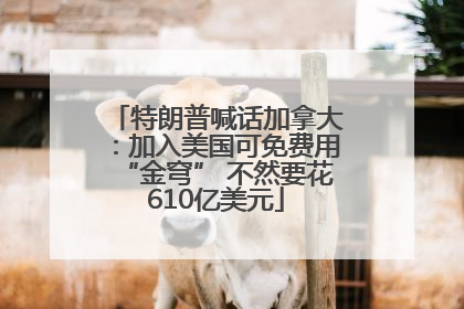 特朗普喊话加拿大：加入美国可免费用“金穹” 不然要花610亿美元