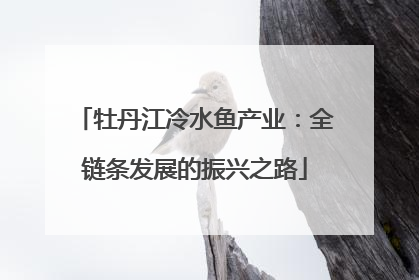 牡丹江冷水鱼产业：全链条发展的振兴之路