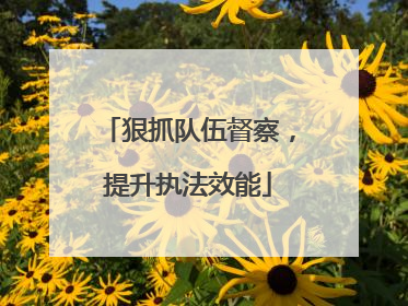 狠抓队伍督察，提升执法效能