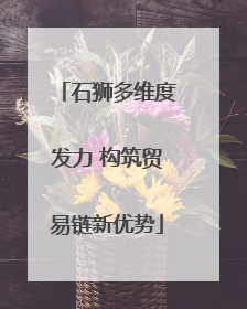 石狮多维度发力 构筑贸易链新优势