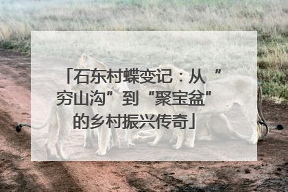 石东村蝶变记：从“穷山沟”到“聚宝盆”的乡村振兴传奇