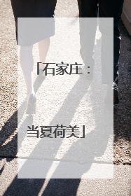 石家庄：当夏荷美