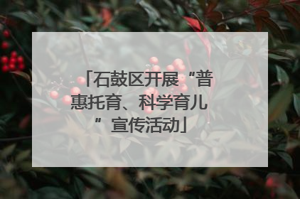 石鼓区开展“普惠托育、科学育儿”宣传活动