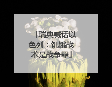 瑞典喊话以色列：饥饿战术是战争罪