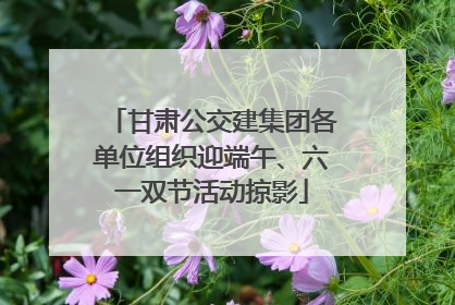 甘肃公交建集团各单位组织迎端午、六一双节活动掠影