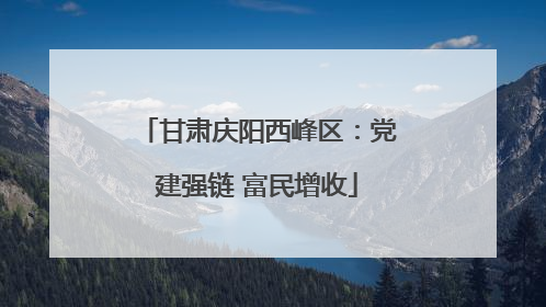 甘肃庆阳西峰区：党建强链 富民增收