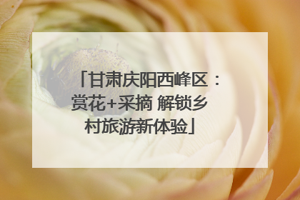甘肃庆阳西峰区：赏花+采摘 解锁乡村旅游新体验