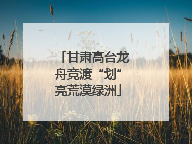 甘肃高台龙舟竞渡“划”亮荒漠绿洲