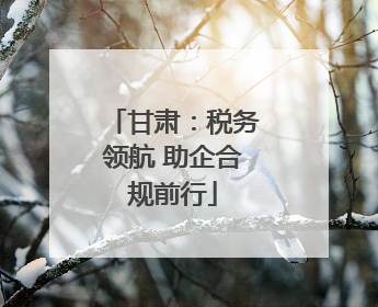 甘肃：税务领航 助企合规前行