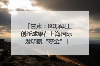 甘肃：80项职工创新成果在上海国际发明展“夺金”