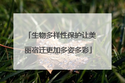 生物多样性保护让美丽宿迁更加多姿多彩