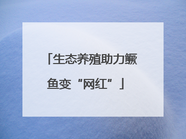 生态养殖助力鳜鱼变“网红”
