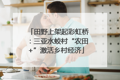 田野上架起彩虹桥：三亚水蛟村“农田+”激活乡村经济