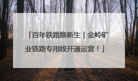 百年铁路焕新生｜金岭矿业铁路专用线开通运营！