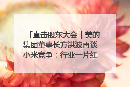 直击股东大会｜美的集团董事长方洪波再谈小米竞争：行业一片红海，打法已固定，无论谁胜都是消耗战