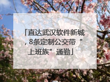 直达武汉软件新城，8条定制公交带“上班族”通勤