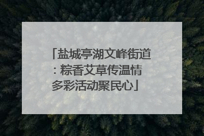盐城亭湖文峰街道：粽香艾草传温情 多彩活动聚民心