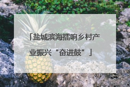 盐城滨海擂响乡村产业振兴“奋进鼓”