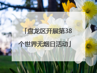 盘龙区开展第38个世界无烟日活动