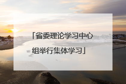 省委理论学习中心组举行集体学习