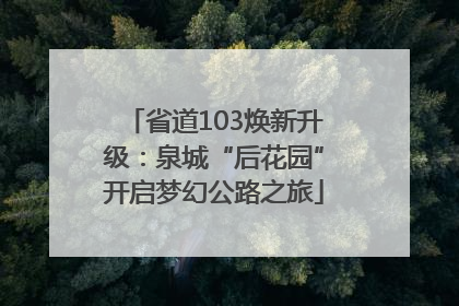 省道103焕新升级：泉城“后花园”开启梦幻公路之旅