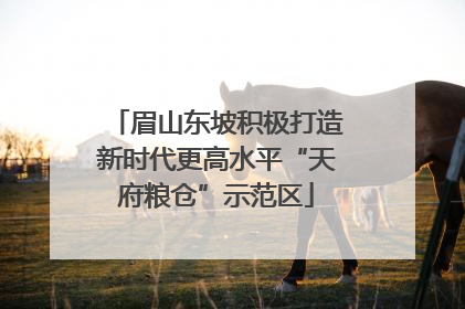 眉山东坡积极打造新时代更高水平“天府粮仓”示范区