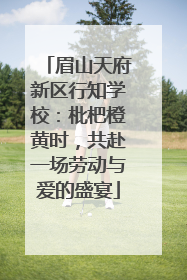 眉山天府新区行知学校：枇杷橙黄时，共赴一场劳动与爱的盛宴