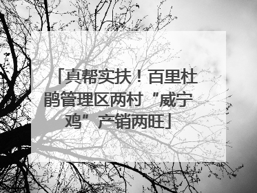 真帮实扶！百里杜鹃管理区两村“威宁鸡”产销两旺