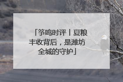 筝鸣时评丨夏粮丰收背后，是潍坊全城的守护