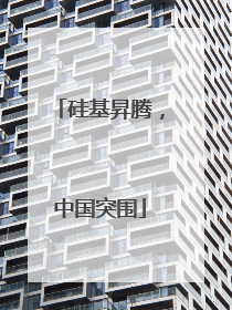 硅基昇腾，中国突围