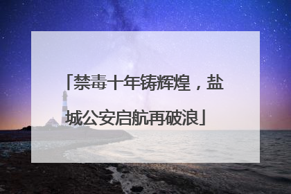 禁毒十年铸辉煌，盐城公安启航再破浪