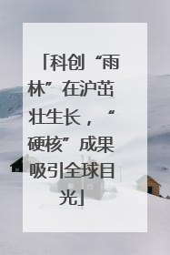 科创“雨林”在沪茁壮生长，“硬核”成果吸引全球目光